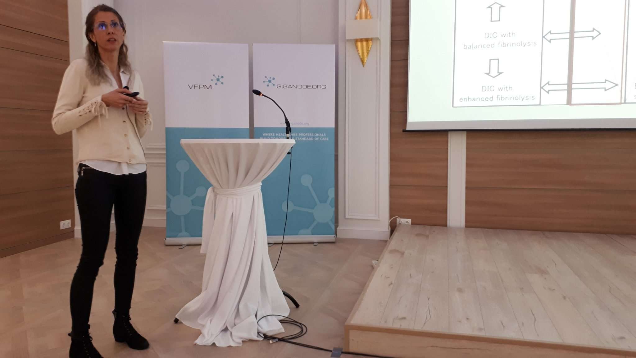 Katy Scarlatescu, one of the course directors, mid-lecture.