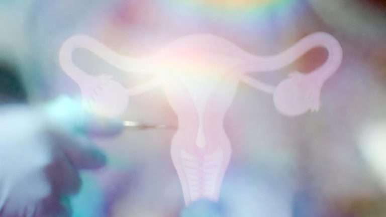 Bleeding Management in Obstetrics and Gynecology cover image